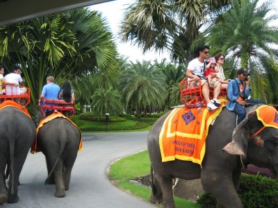 Покататься на слоне в Паттайе