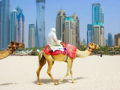 Покататься на верблюде в Дубае