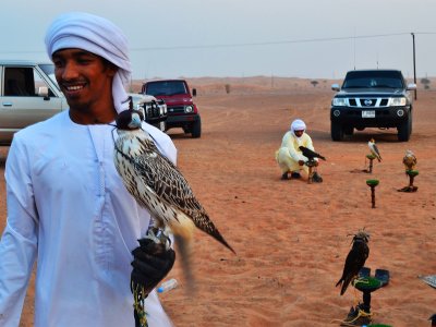 Увидеть соколиную охоту в Дубае