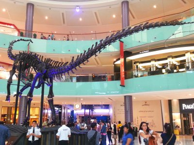 Увидеть скелет гигантского 155.000.000-летнего динозавра в Дубае