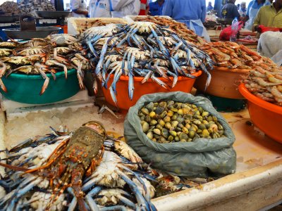 Побывать на Рыбном рынке в Дубае