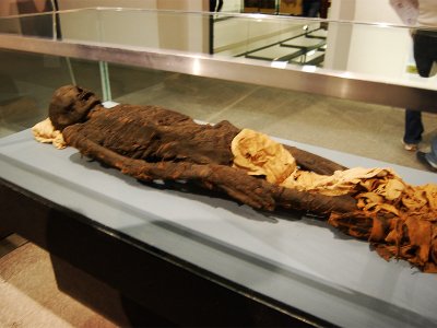 Увидеть египетских мумий в Милане