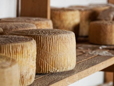 Попробовать сыр пекорино на Сардинии