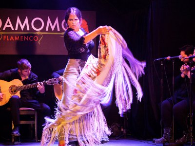 Увидеть фламенко в таблао в Мадриде