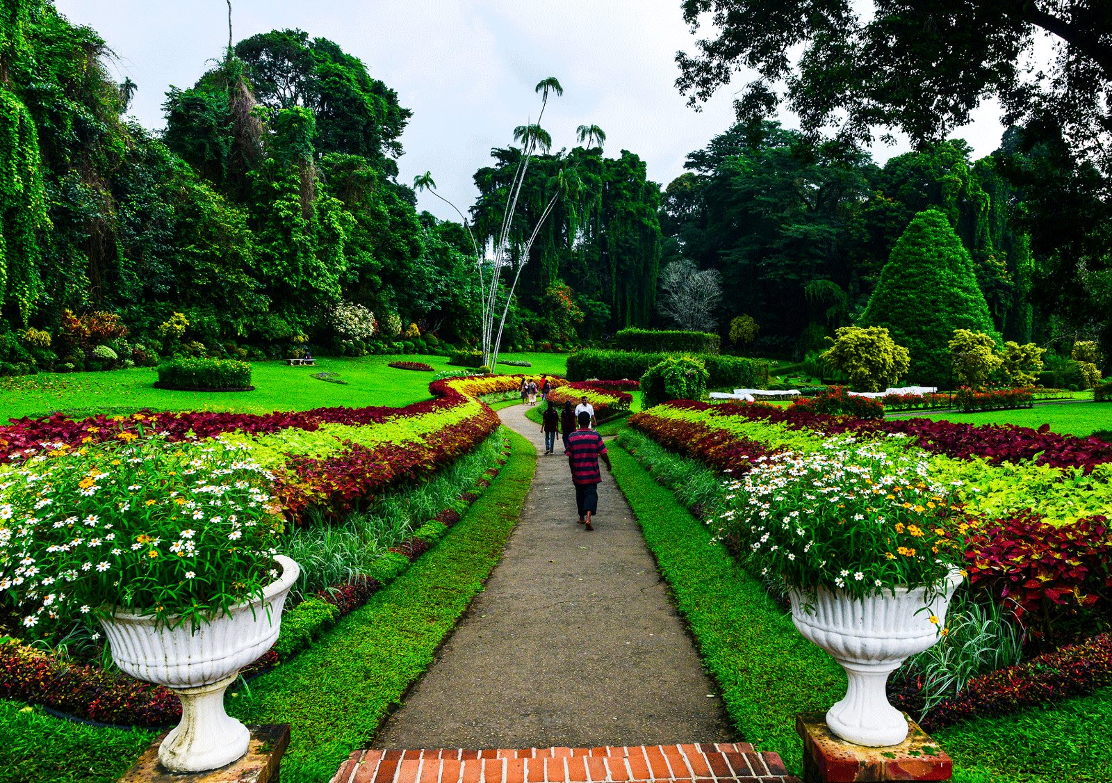 Kandy парк Ботанический Королевский сад