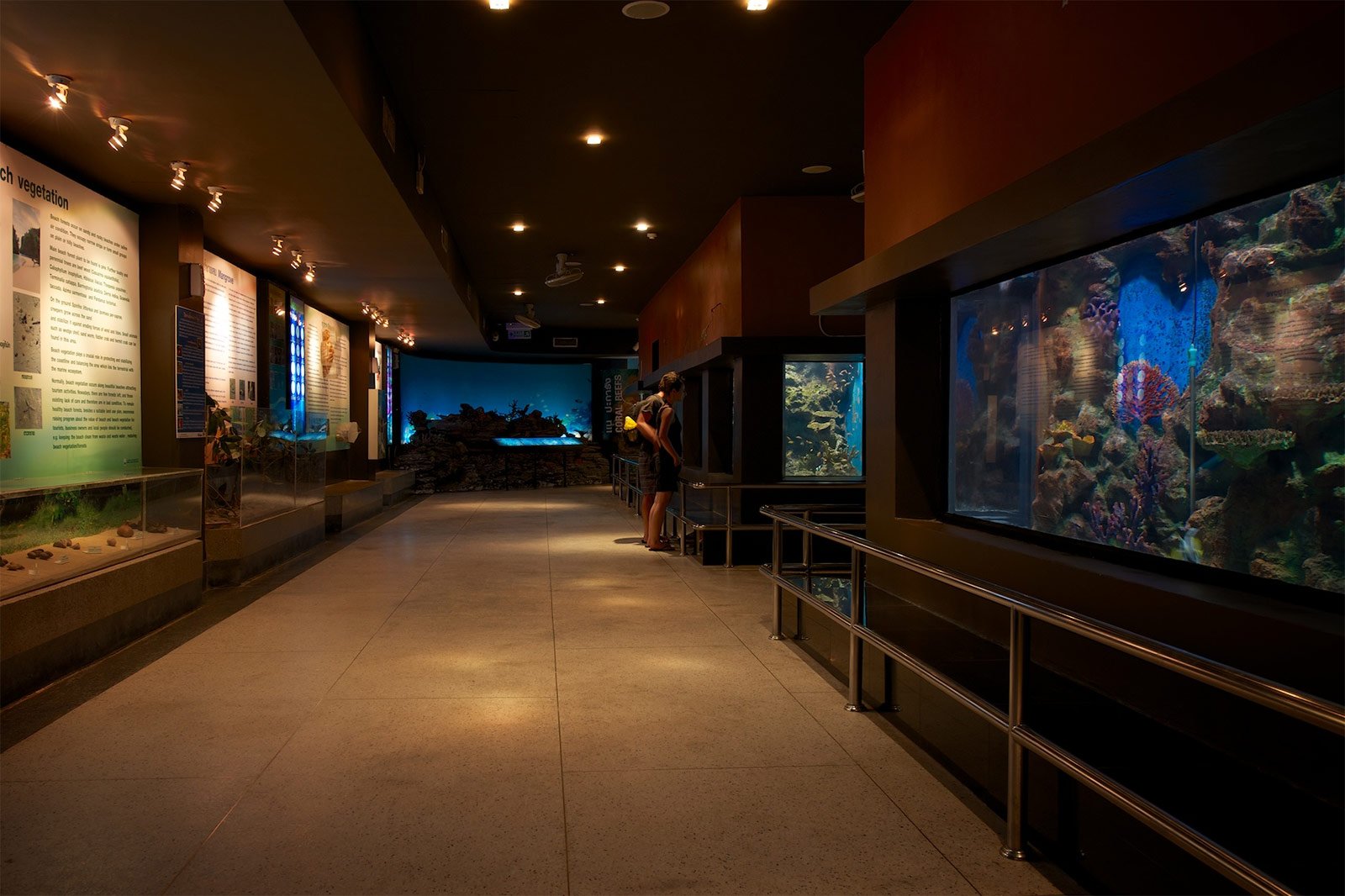 Океанариум «Phuket Aquarium», Пхукет