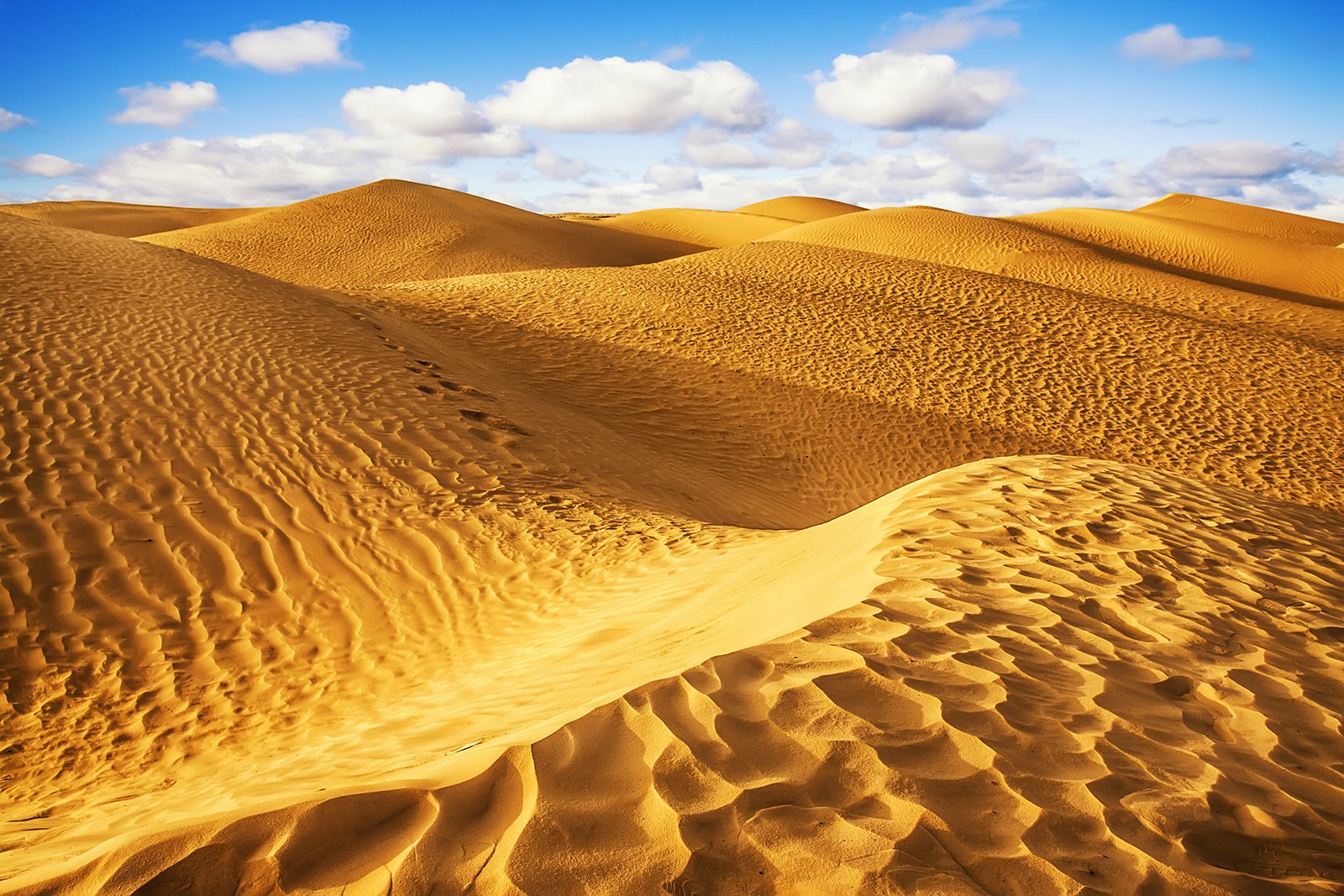 Пустыня Сахара, Марракеш