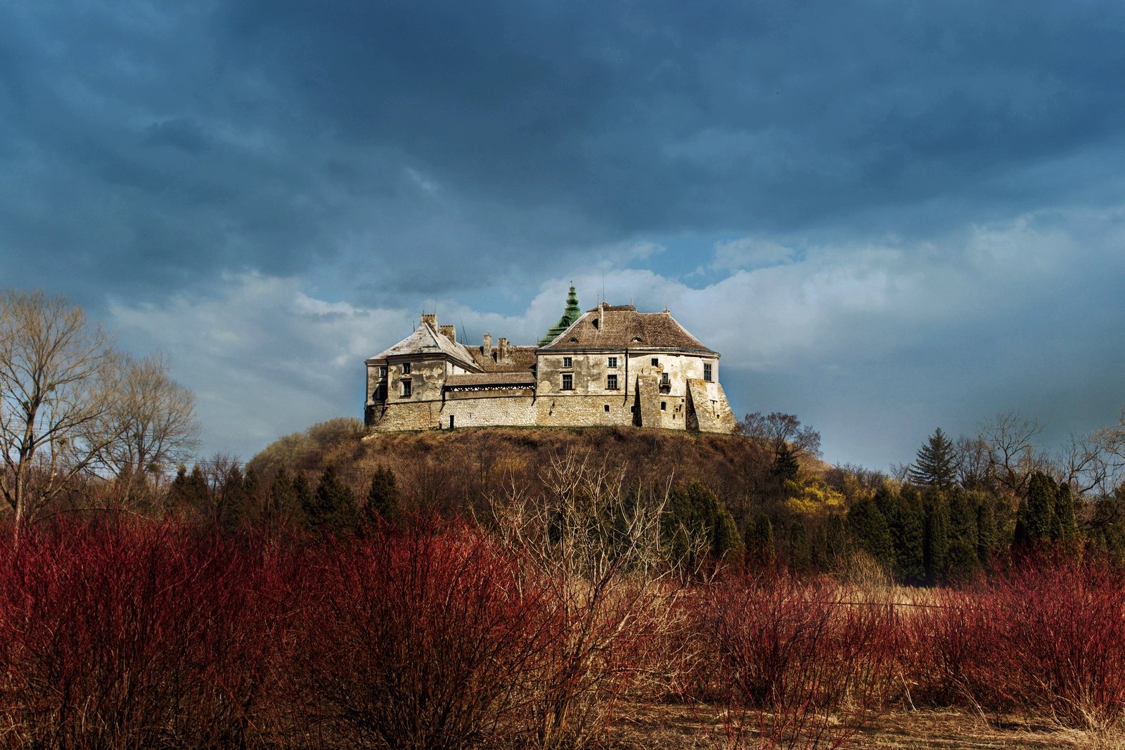 Олесский замок, Львов