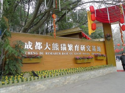 Центр разведения и исследования больших панд