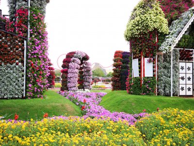 Парк цветов Миракл Гарден в Дубае