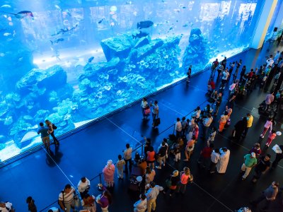 Дубай Аквариум и Подводный Зоопарк в Дубае