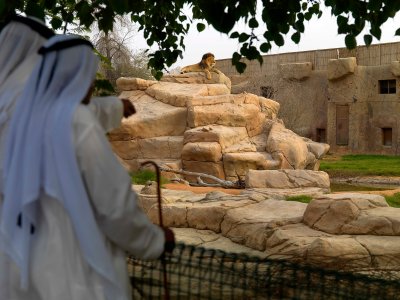 Зоопарк «Al Ain Zoo» в Эль-Айне