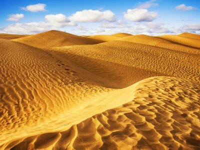 Пустыня Сахара в Марракеше