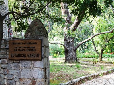 Ботанический сад в Дубровнике