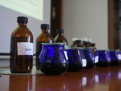 Тур-семинар по оливковому маслу Крита